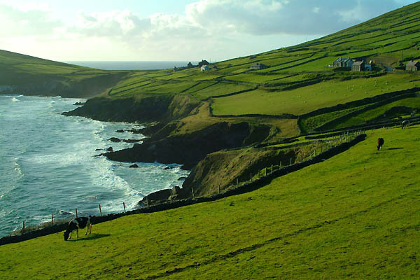 Coumeenoole Beach Photo