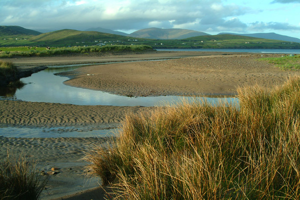 Ventry Beach 23 Photo