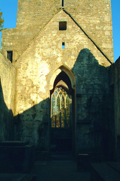 Muckross Abbey 2 Photo