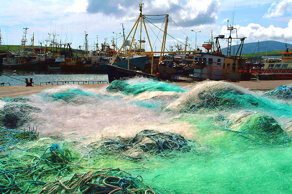 Sea of Nets Photo