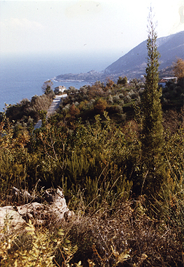 Pelion 7 Scanned photo print