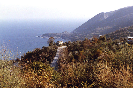 Pelion 5 Photo