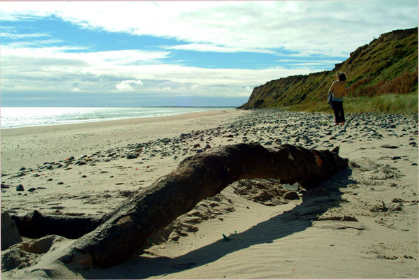 Curracloe Beach 62 Photo