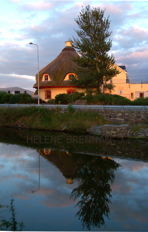 Thatched Roof Photo