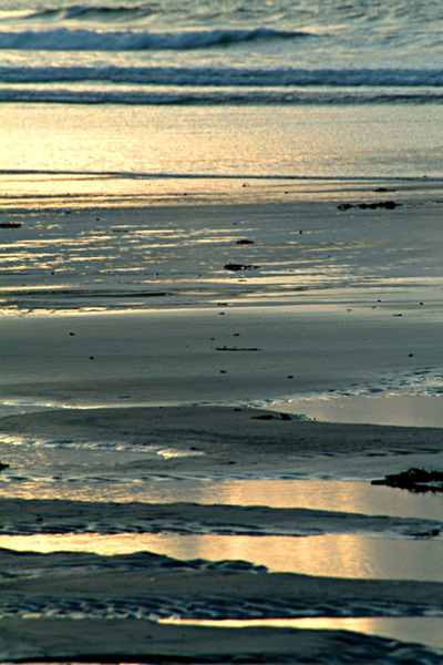 Evening light at Murioch Beach Photo