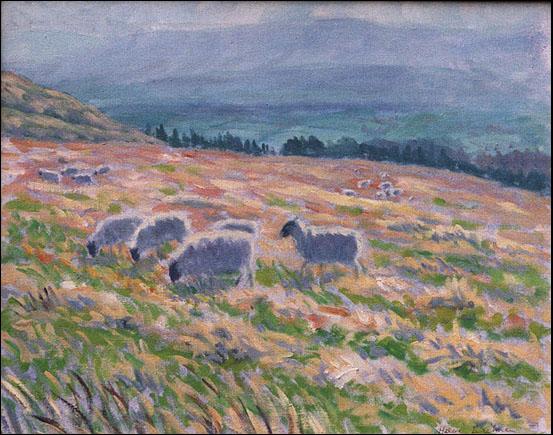 Derbyshire Sheep Oil on Canvas