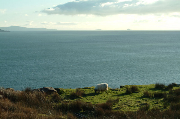 Skellig Rocks Photo