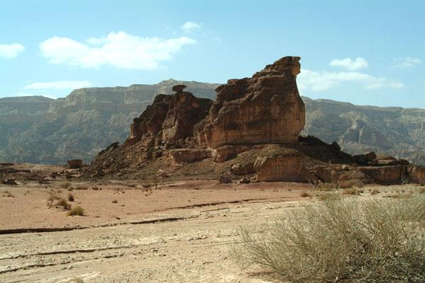 The Sphinx Limited edition photo print