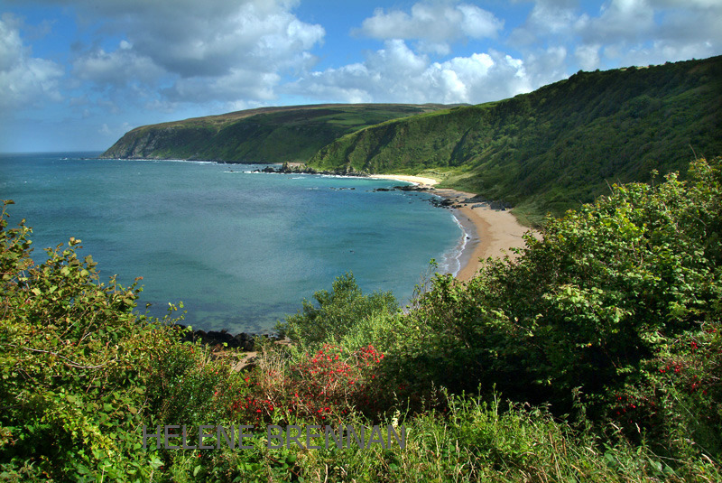 Kinnagoe 22 Photo