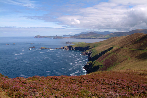 On Great Blasket 036 Photo