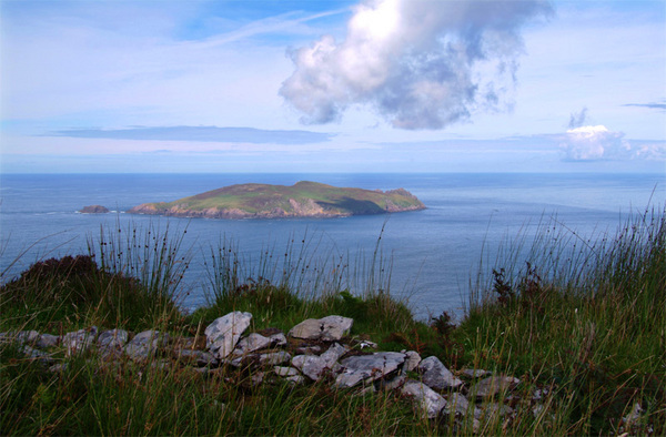 On Great Blasket 047 Photo