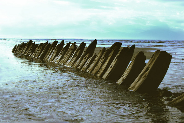 Banna Boat Wreck 06 Photo