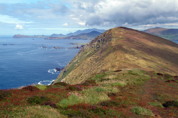 On Great Blasket 047 Photo