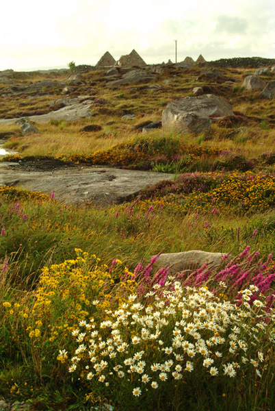 Connemara Landscape Photo