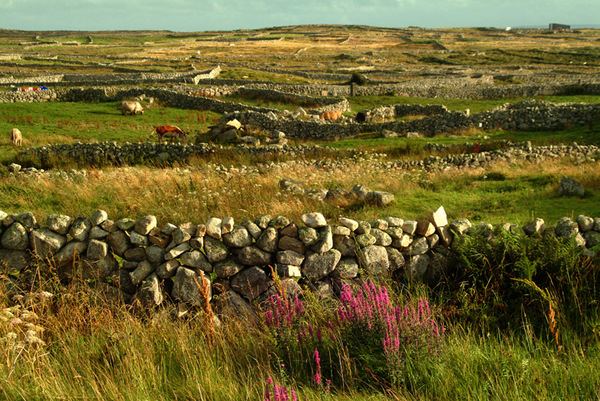 Connemara Landscape 2 Photo