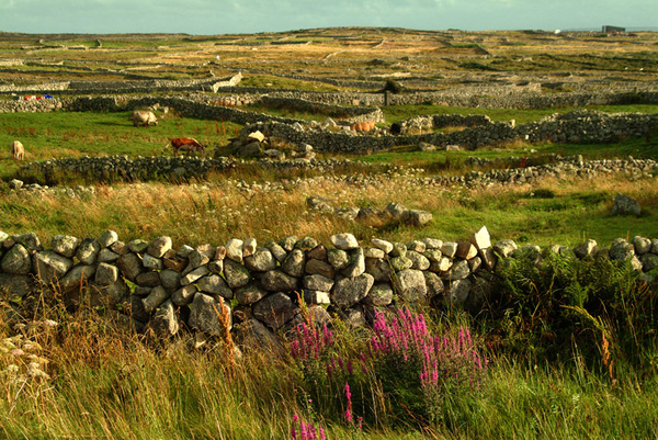 Connemara Landscape 2 Photo