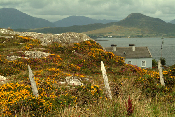 Connemara Landscape 3 Photo