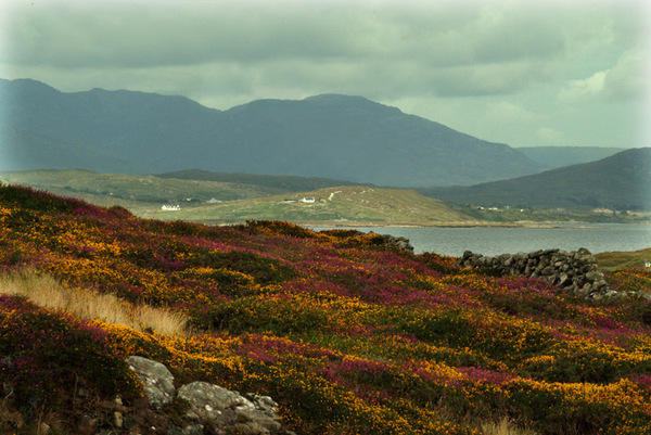 Connemara Landscape 4 Photo