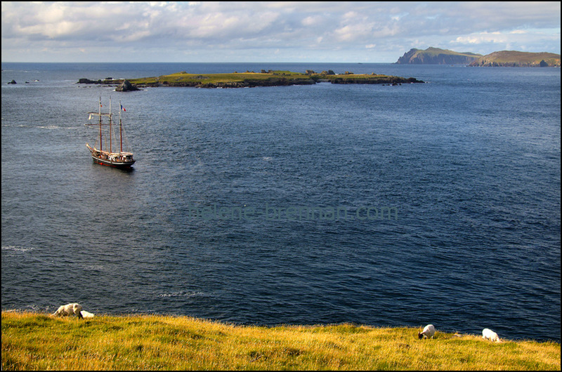 On Great Blasket 048 Photo