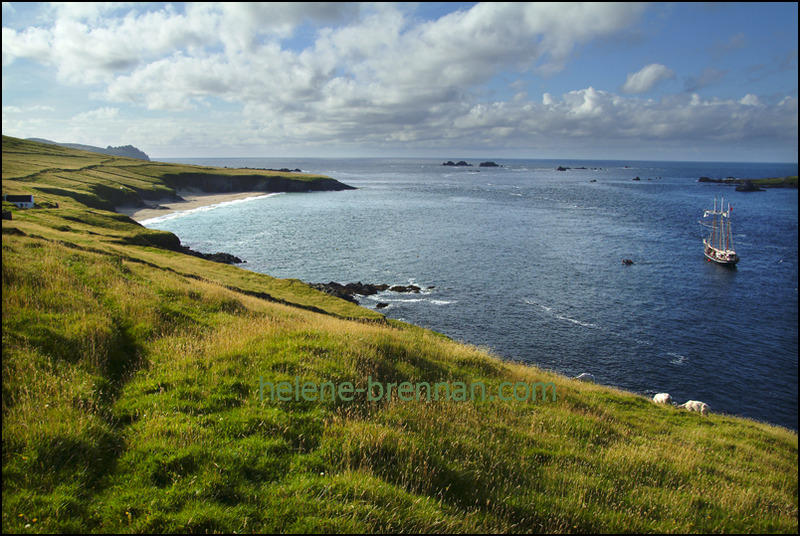 On Great Blasket 043 Photo