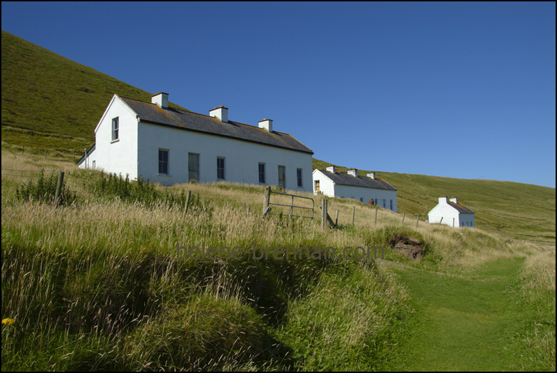 Blasket Houses 161 Photo