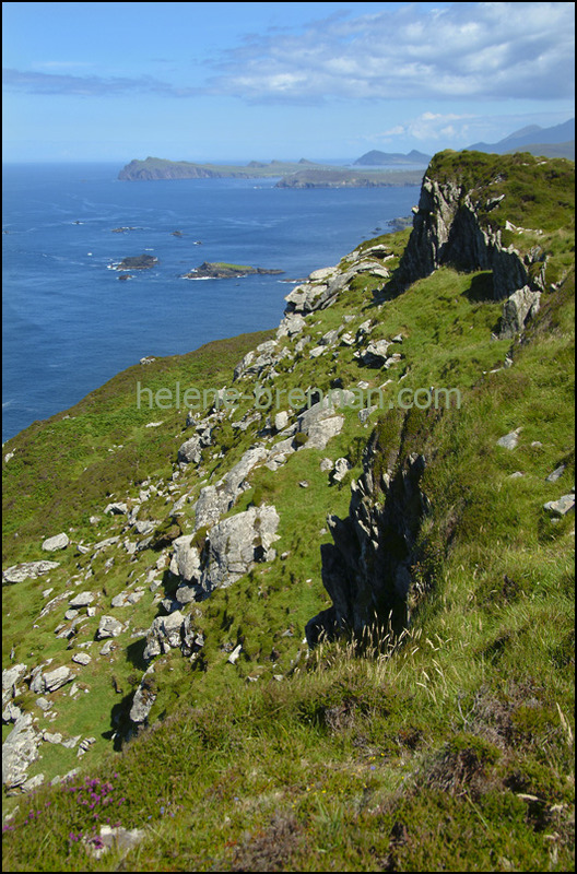 On Great Blasket 209 Photo