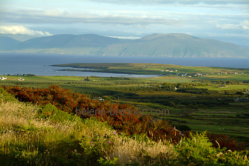 View from the Clasach 202 Photo