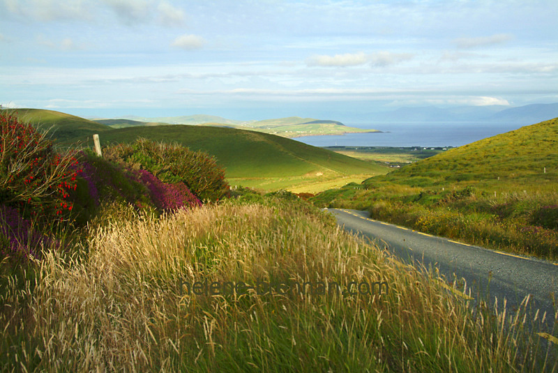 View from The Clasach 184 Photo