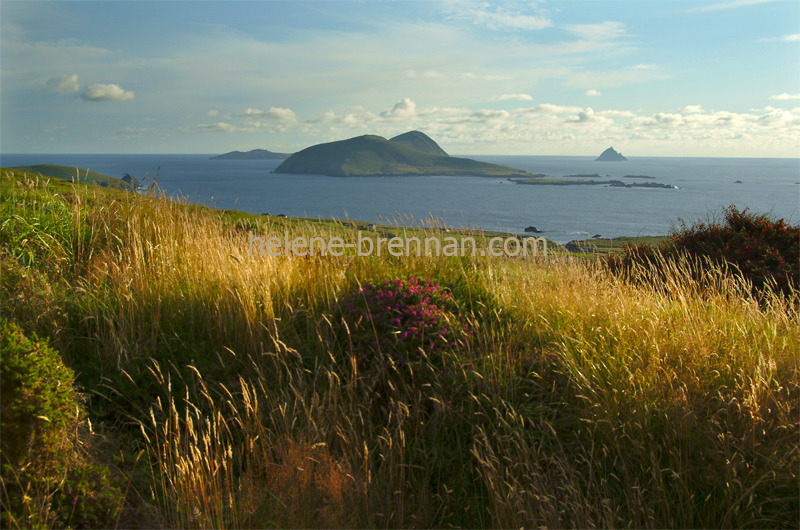 Blasket Islands from Mount Eagle 176 Photo