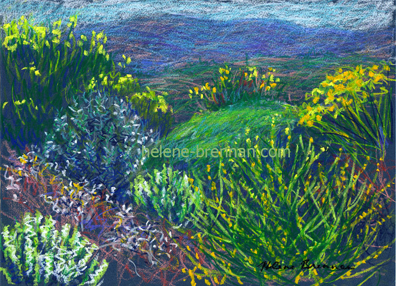 Andros 37 Painting:: Oil Pastel