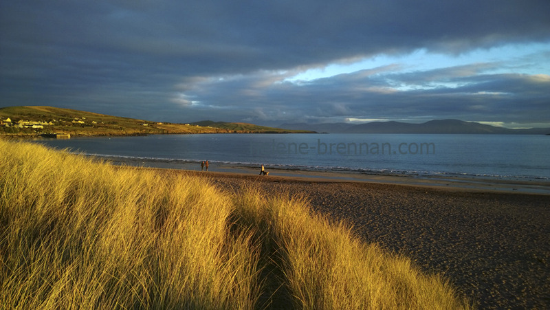 Ventry under The Setting Sun 1308 Photo