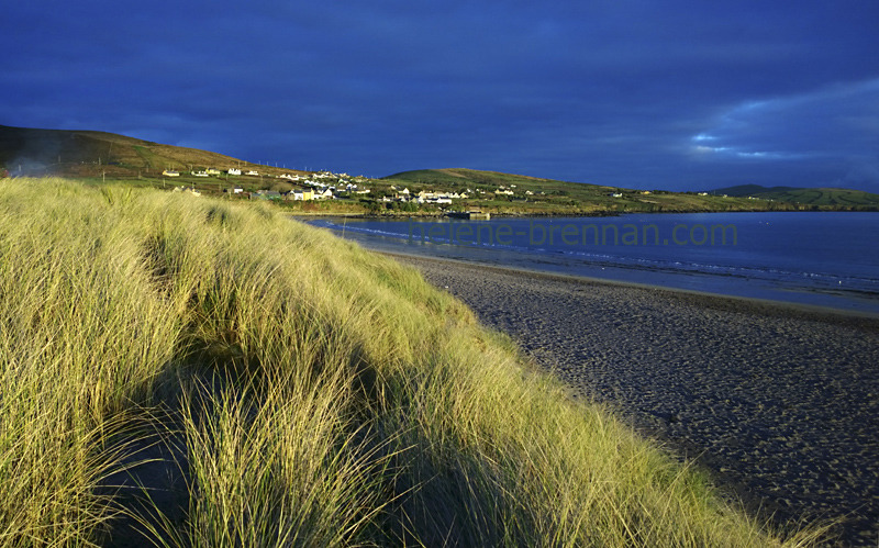 Ventry under Evening Light 1048 Photo