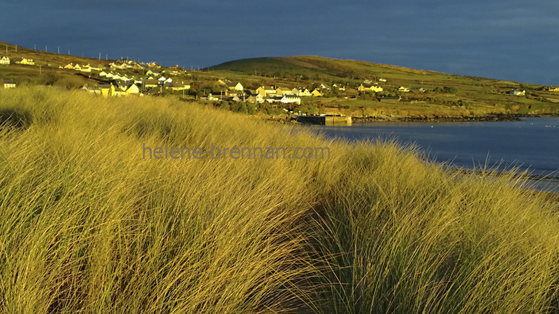 Ventry under Evening Light 0908 Photo