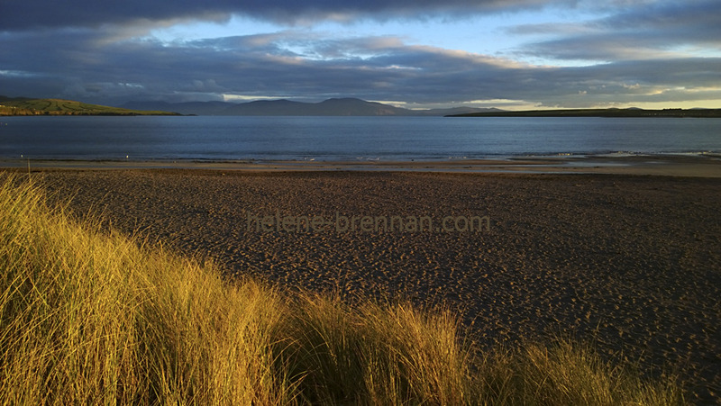 Ventry under Evening Light 1006 Photo