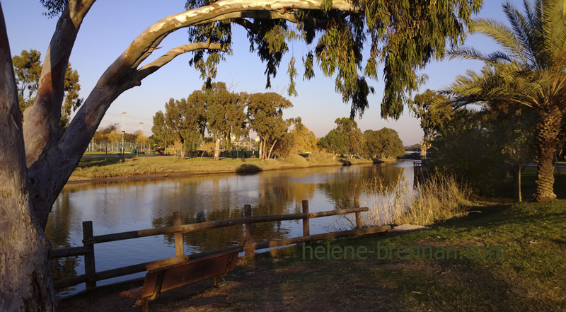 Yarkon River 4421 Photo