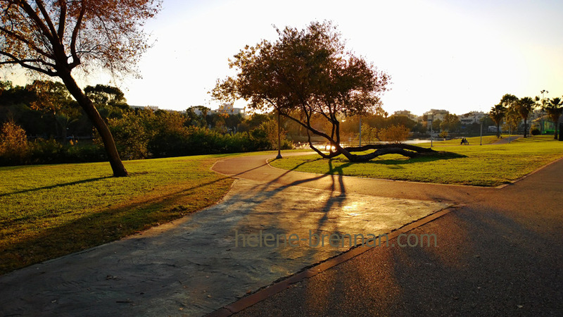 Hayarkon Park 5850 Photo