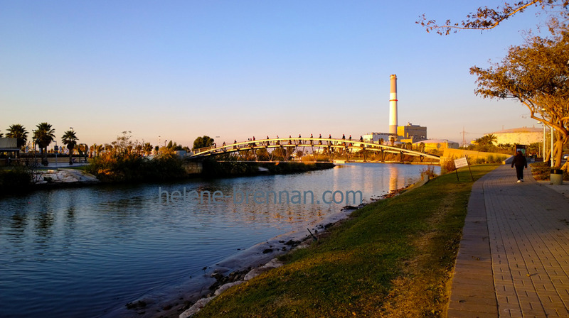 Yarkon River 1025 Photo