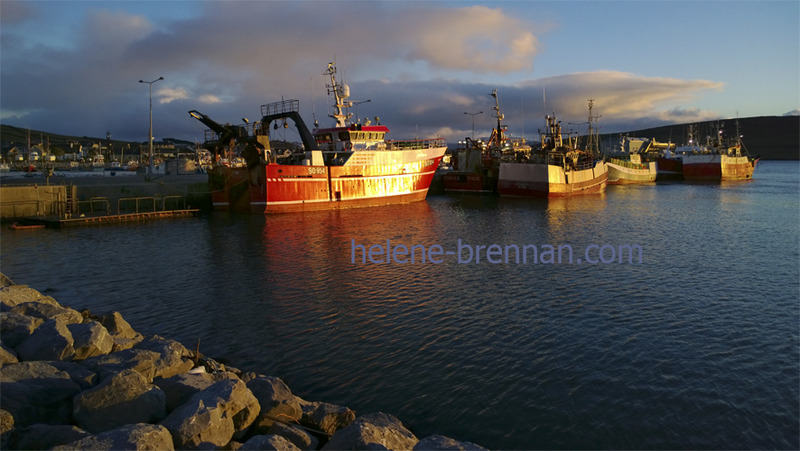 Fishing Boats in Dingle Harbour Photo