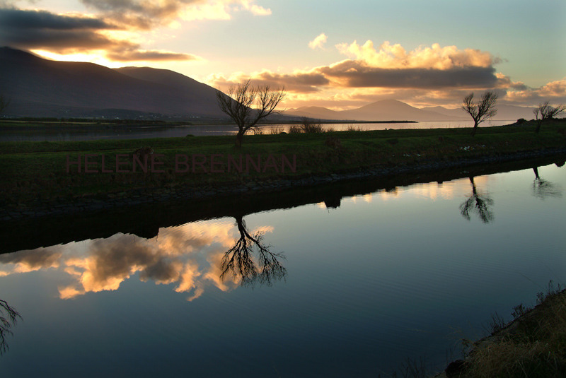 Tralee Ship Canal 79 Photo