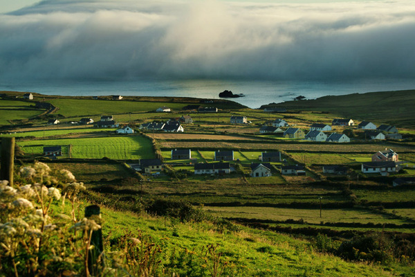 Sea Mist, Dunquin Photo