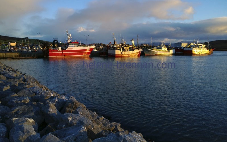 Dingle Fishing Boats Photo
