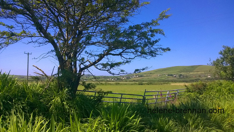 Lispole Landscape Photo