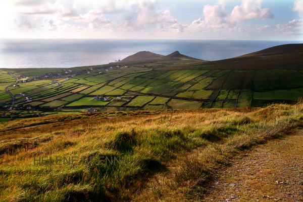 Fields of Dunquin 3 from Mount Eagle Photo