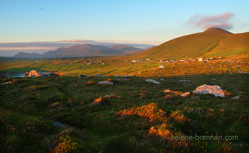 Mid-Summer's Landscape Photo