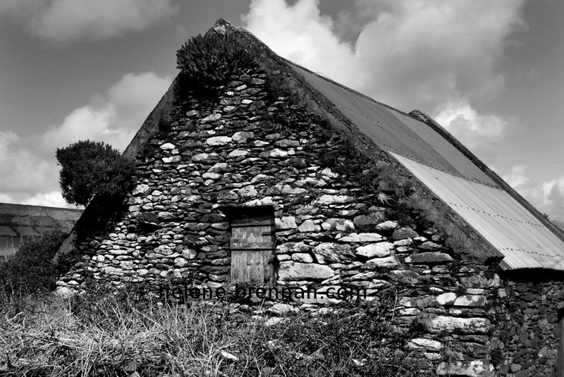 Old Farm Shed, Cilliruith, Ventry Photo