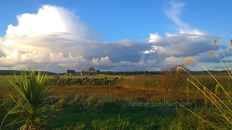 Tralee Landscape 181223 Photo