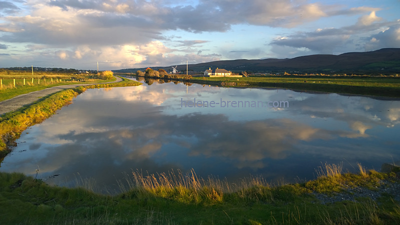 Tralee Canal 2308 Photo