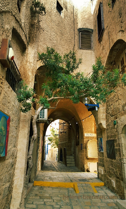 Jaffa 1819 Photo