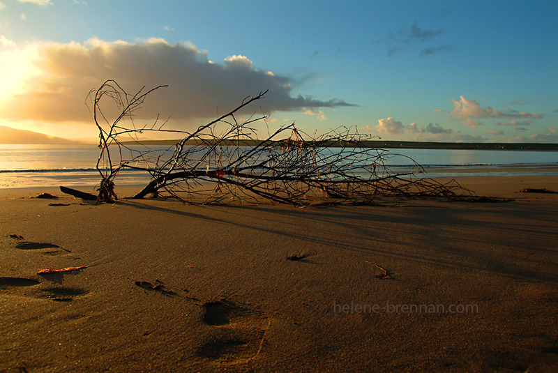 Ventry Beach 64 Photo