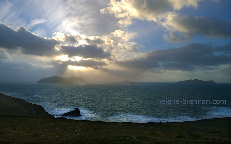 Blasket Islands 5759 Photo